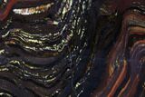 Bargain, Polished Tiger Iron Stromatolite - ( Billion Years) #96225-1